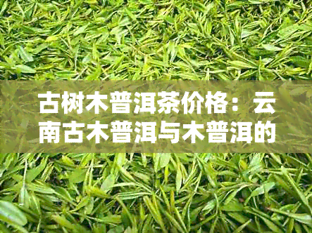 古树木普洱茶价格：云南古木普洱与木普洱的区分及是否属于熟茶