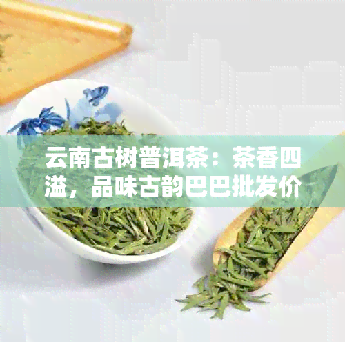 云南古树普洱茶：茶香四溢，品味古韵巴巴批发价格