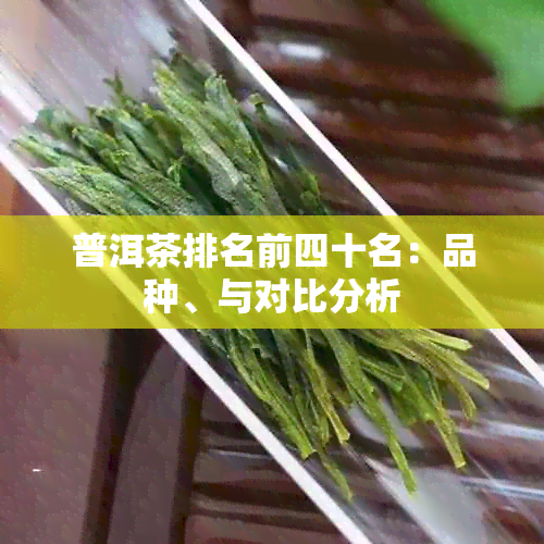 普洱茶排名前四十名：品种、与对比分析