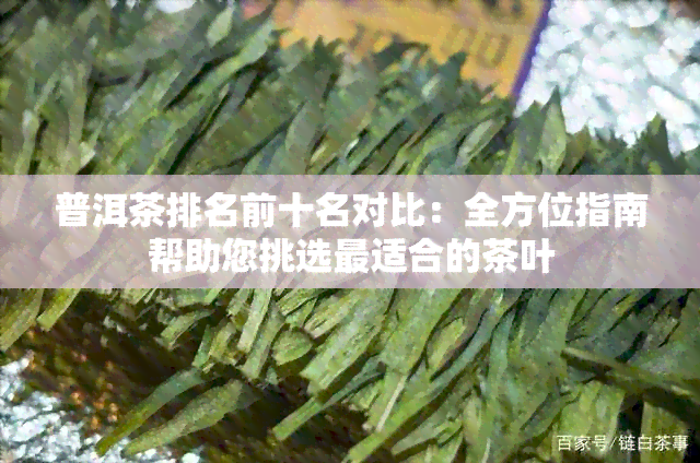 普洱茶排名前十名对比：全方位指南帮助您挑选最适合的茶叶