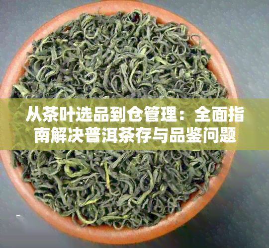 从茶叶选品到仓管理：全面指南解决普洱茶存与品鉴问题