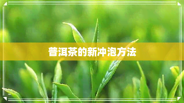 普洱茶的新冲泡方法