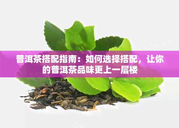 普洱茶搭配指南：如何选择搭配，让你的普洱茶品味更上一层楼