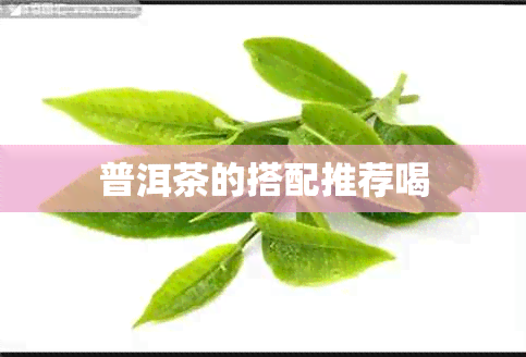 普洱茶的搭配推荐喝