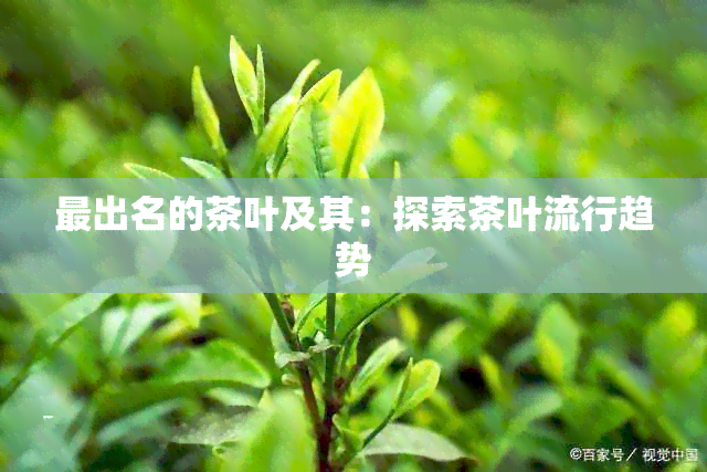 最出名的茶叶及其：探索茶叶流行趋势