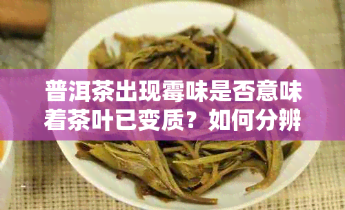 普洱茶出现霉味是否意味着茶叶已变质？如何分辨普洱茶的新度和质量？