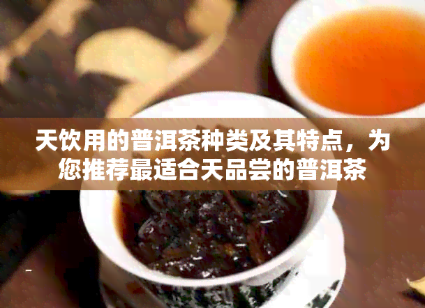 天饮用的普洱茶种类及其特点，为您推荐最适合天品尝的普洱茶