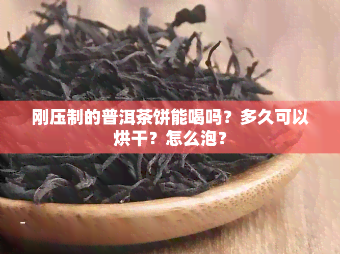 刚压制的普洱茶饼能喝吗？多久可以烘干？怎么泡？