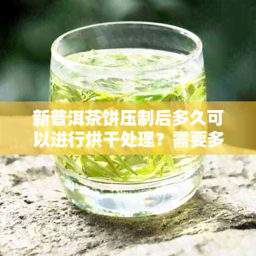 新普洱茶饼压制后多久可以进行烘干处理？需要多长时间？