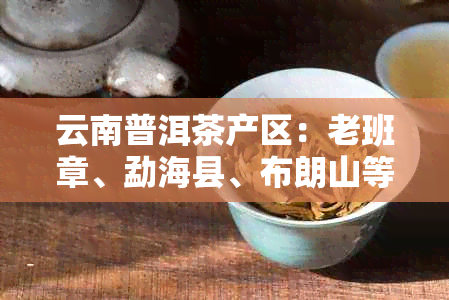 云南普洱茶产区：老班章、勐海县、布朗山等地的茶叶品质与价格比较