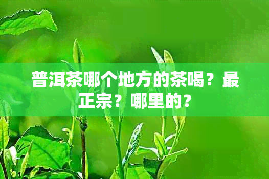 普洱茶哪个地方的茶喝？最正宗？哪里的？