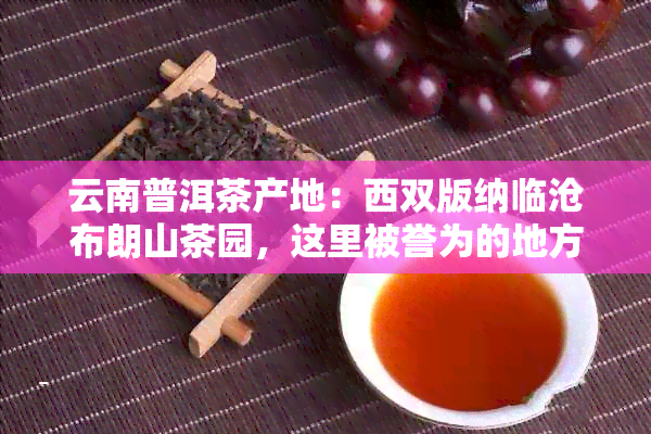 云南普洱茶产地：西双版纳临沧布朗山茶园，这里被誉为的地方