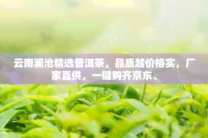 云南澜沧精选普洱茶，品质越价格实，厂家直供，一键购齐京东、