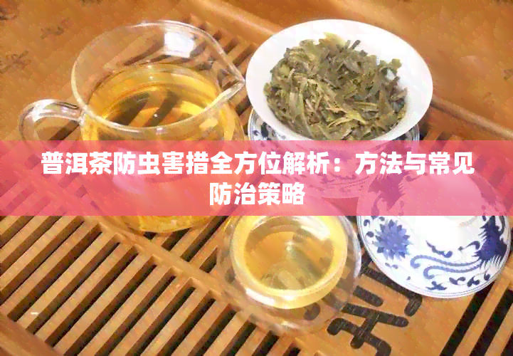 普洱茶防虫害措全方位解析：方法与常见防治策略