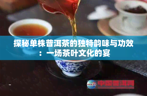 探秘单株普洱茶的独特韵味与功效：一场茶叶文化的宴