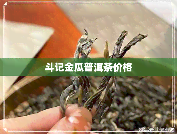 斗记金瓜普洱茶价格