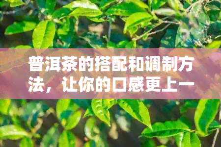 普洱茶的搭配和调制方法，让你的口感更上一层楼