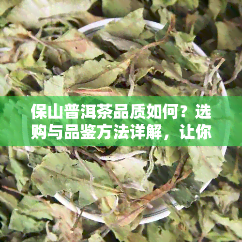 保山普洱茶品质如何？选购与品鉴方法详解，让你轻松成为普洱茶专家