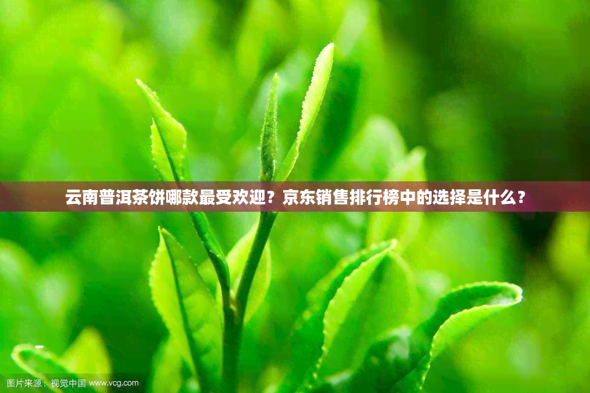 云南普洱茶饼哪款更受欢迎？京东销售排行榜中的选择是什么？