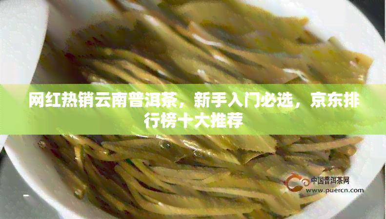 网红热销云南普洱茶，新手入门必选，京东排行榜十大推荐