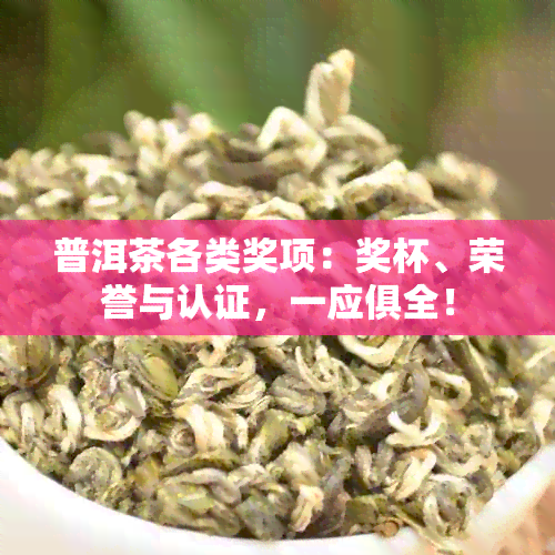 普洱茶各类奖项：奖杯、荣誉与认证，一应俱全！