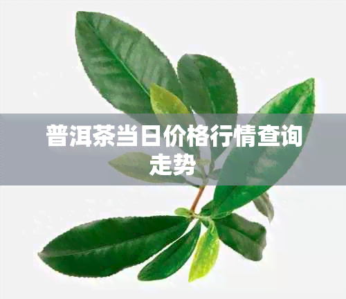 普洱茶当日价格行情查询走势