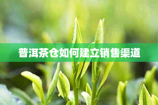 普洱茶仓如何建立销售渠道