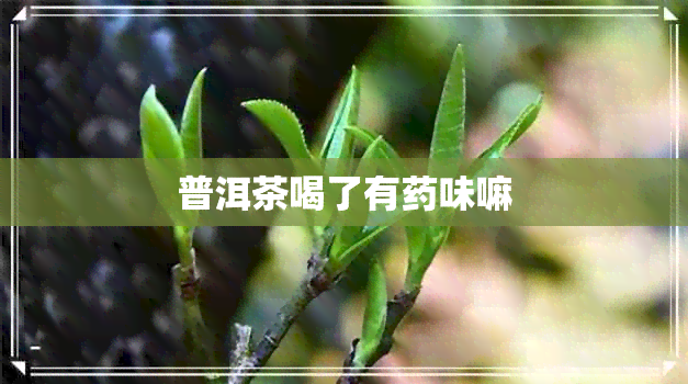 普洱茶喝了有味嘛