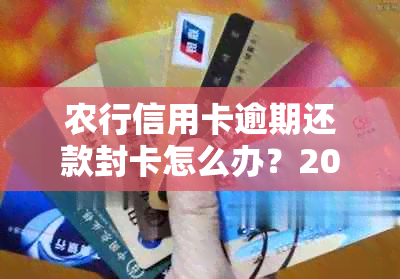 农行信用卡逾期还款封卡怎么办？2021年农业银行信用卡逾期新法规解封。