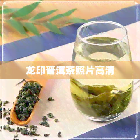 龙印普洱茶照片高清