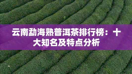 云南勐海熟普洱茶排行榜：十大知名及特点分析