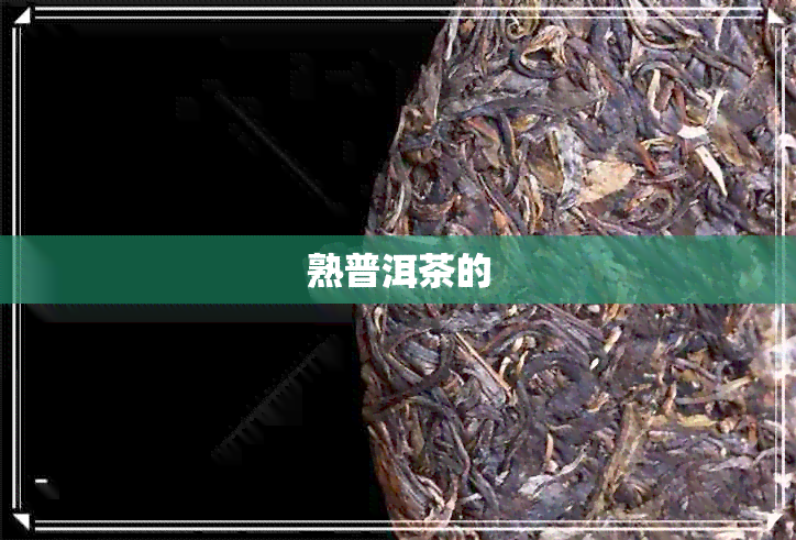 熟普洱茶的