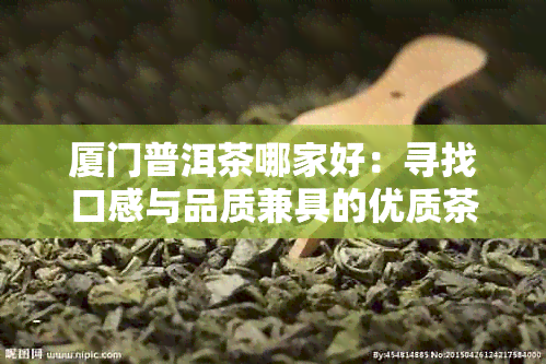 厦门普洱茶哪家好：寻找口感与品质兼具的优质茶