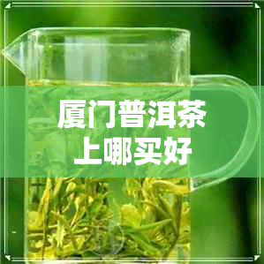 厦门普洱茶上哪买好