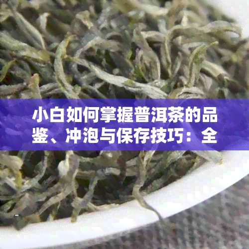 小白如何掌握普洱茶的品鉴、冲泡与保存技巧：全方位指南