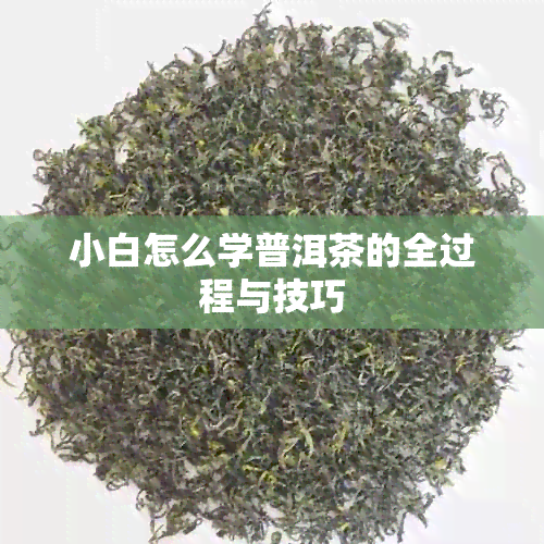 小白怎么学普洱茶的全过程与技巧