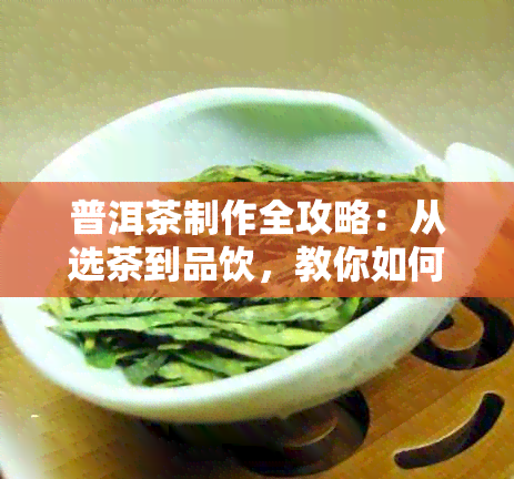 普洱茶制作全攻略：从选茶到品饮，教你如何泡出一杯好茶