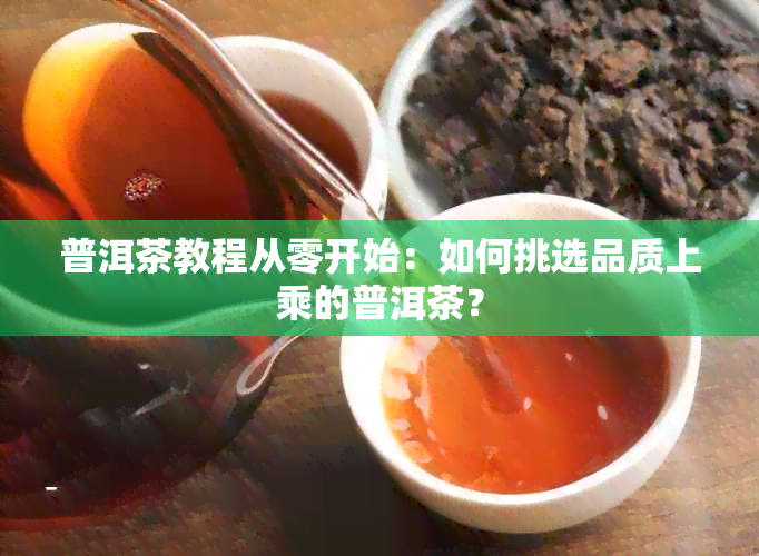 普洱茶教程从零开始：如何挑选品质上乘的普洱茶？