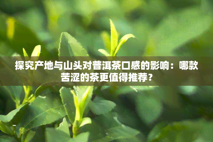 探究产地与山头对普洱茶口感的影响：哪款苦涩的茶更值得推荐？