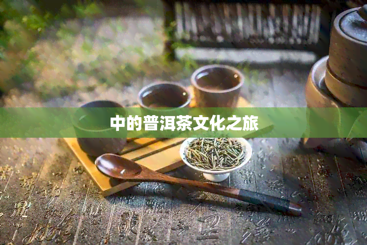 中的普洱茶文化之旅