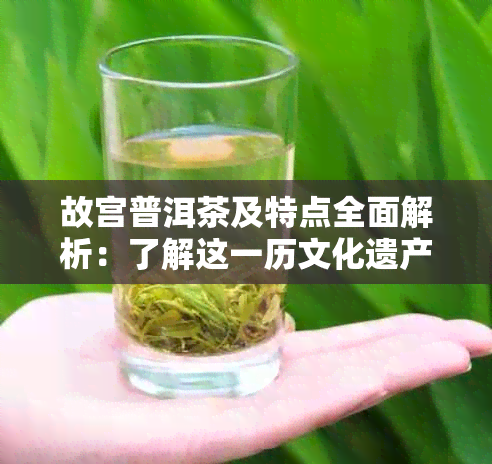 故宫普洱茶及特点全面解析：了解这一历文化遗产背后的茶文化