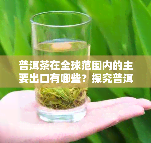 普洱茶在全球范围内的主要出口有哪些？探究普洱茶的国际市场