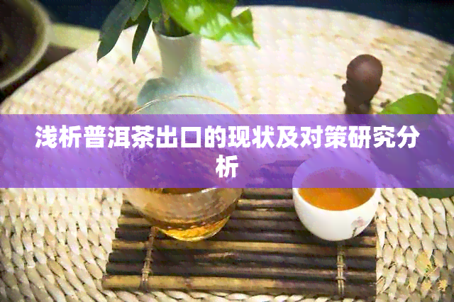 浅析普洱茶出口的现状及对策研究分析