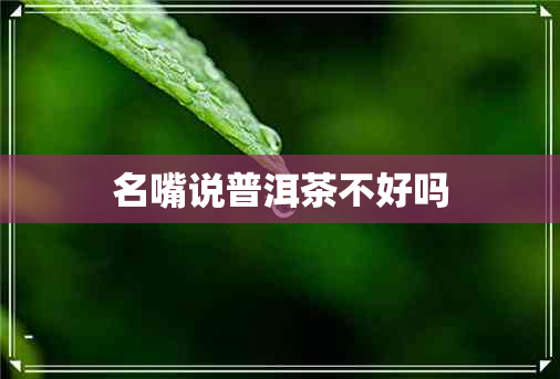 名嘴说普洱茶不好吗