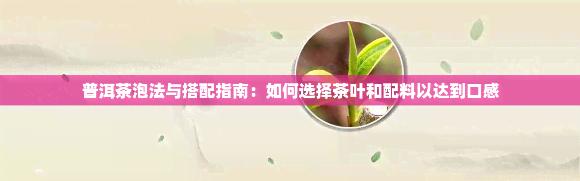 普洱茶泡法与搭配指南：如何选择茶叶和配料以达到口感