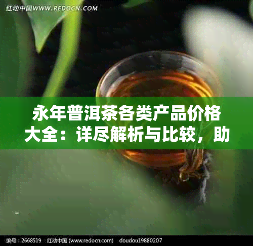 永年普洱茶各类产品价格大全：详尽解析与比较，助您轻松选购