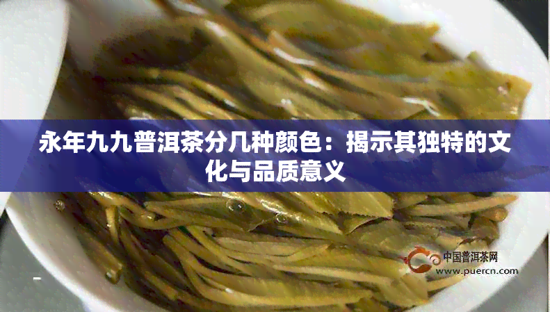 永年九九普洱茶分几种颜色：揭示其独特的文化与品质意义