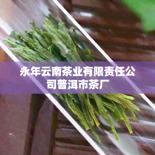 永年云南茶业有限责任公司普洱市茶厂