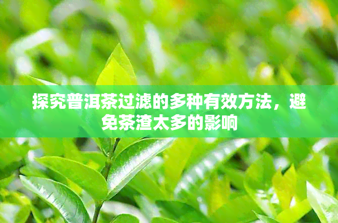 探究普洱茶过滤的多种有效方法，避免茶渣太多的影响