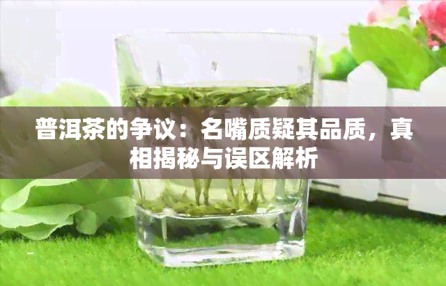 普洱茶的争议：名嘴质疑其品质，真相揭秘与误区解析